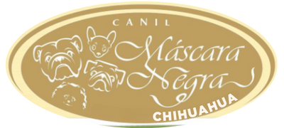 logo_canil_mascara_negra