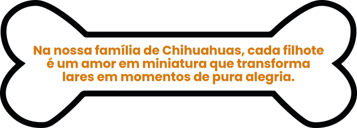 seção_frase_chihuahua
